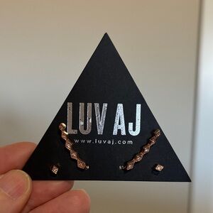 Luv AJ Rose Gold Earrings